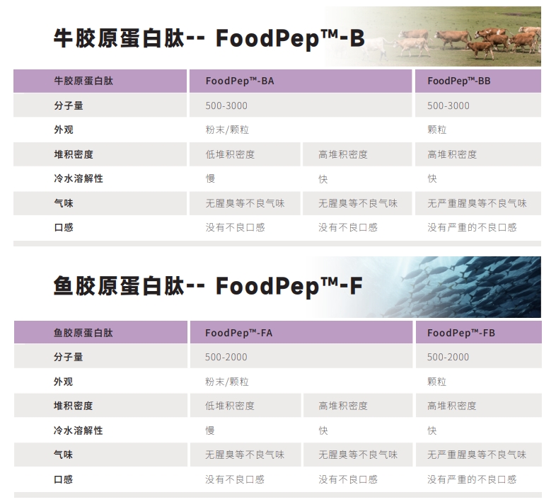 beef collagen peptide