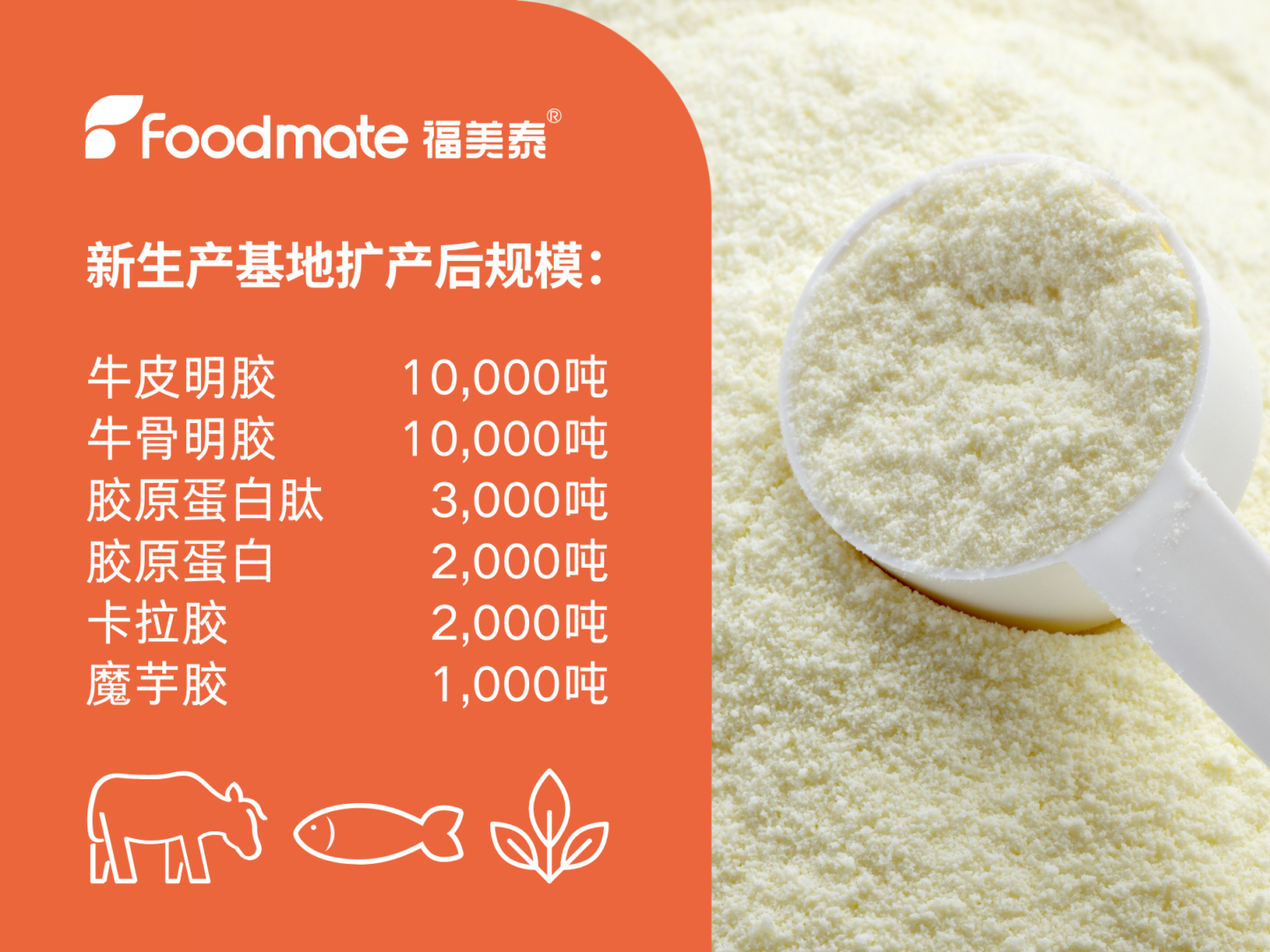 福美泰明胶生产规模